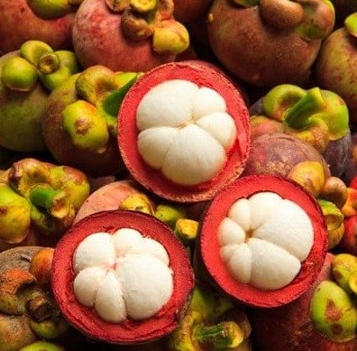 Nagano Tonic Ingredients